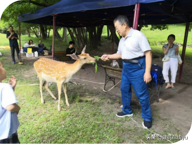 国务院原秘书俞梅荪 ‼ 寻鹿记