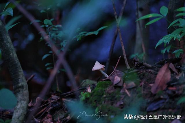 福州户外圣地——白云洞
