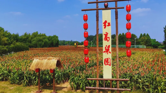 这个国庆来济宁！秋日风光无限好，6个宝藏地带你亲近自然放肆野