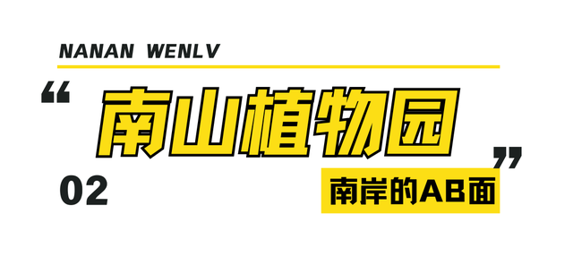 南岸的AB面 | 昼夜切换间，体会双重浪漫~