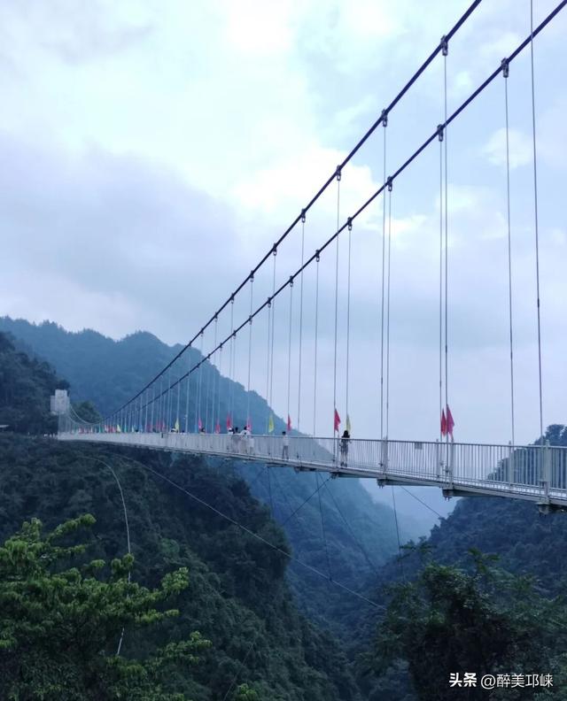 深秋想赴一场“森”系约会？来邛崃就够了！