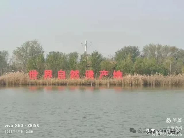 苇风载秋，鹤影映波——河北黄骅南大港湿地的初冬漫游｜ 申艳娟