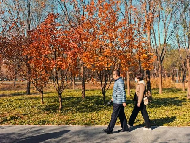 发现丰台之美 | 满目鎏金，层林尽染！南森美如画——