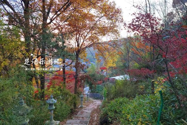 宁波这处秋色又到最美时刻，4条古道串联起近10个村庄，值得推荐