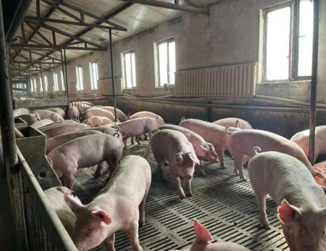 欧盟高兴早了！刚拿到中方稀土许可证，第二天就收到一条坏消息