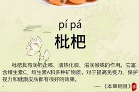 劝你夏天多吃枇杷，理由一个就够了！图片