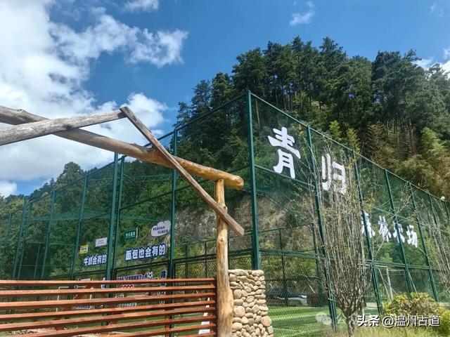 这个凭借21℃的天然清凉悄然“出圈”的森林小镇,别具异域风情!