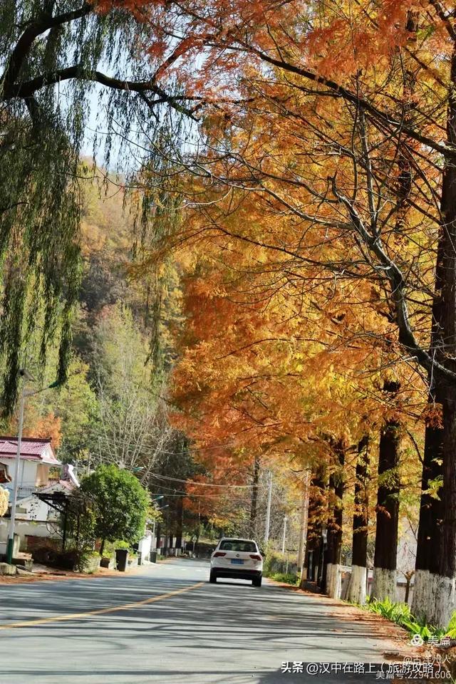 超出片!快来这里捕捉汉中秋色!