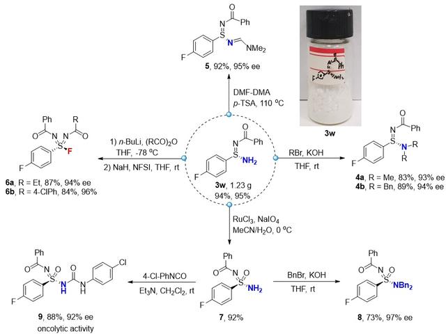 南昌大学熊小东团队Angew：手性磷酸催化次磺酰胺的不对称胺化