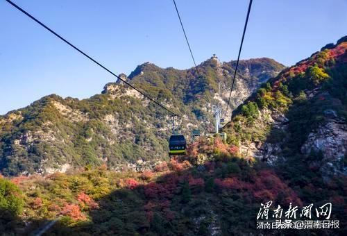 少华秋色“醉”游人
