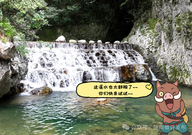 我想离开浪浪山，去徽县！