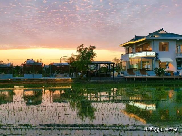 一键查收！“志愿星光 闪耀乡村”，上海市奉贤区12·5国际志愿者日主题活动邀请函