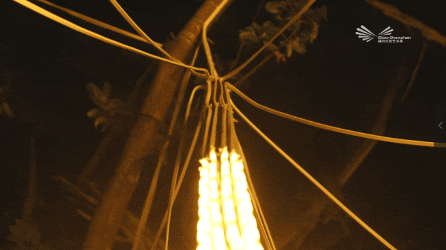 莲花山公园又上新了，现在就冲！