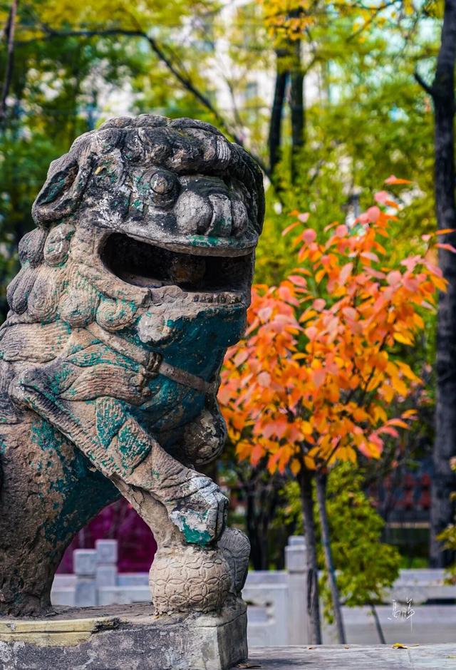 冬日限定｜临夏的初冬，是写满诗意的“人间治愈”