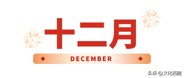 2026一起去西藏林芝！这个人生必去目的地，全年出游攻略请查收！
