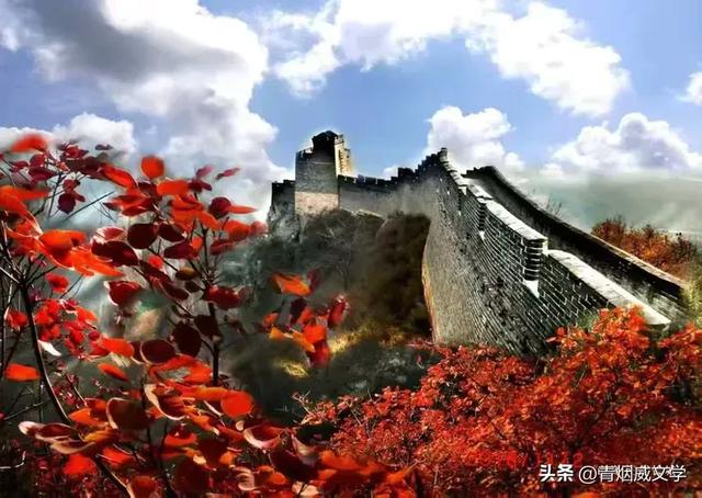 重阳登高赏长城秋色