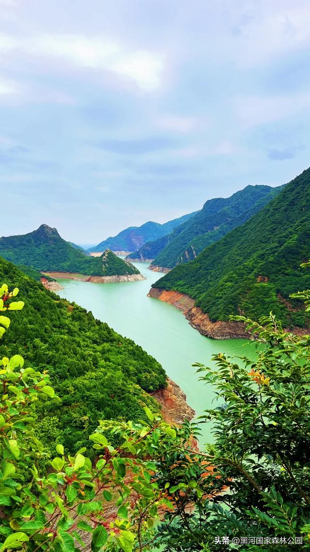 夏末秋初送清凉，来自黑河国家森林公园的惊喜等你查收~