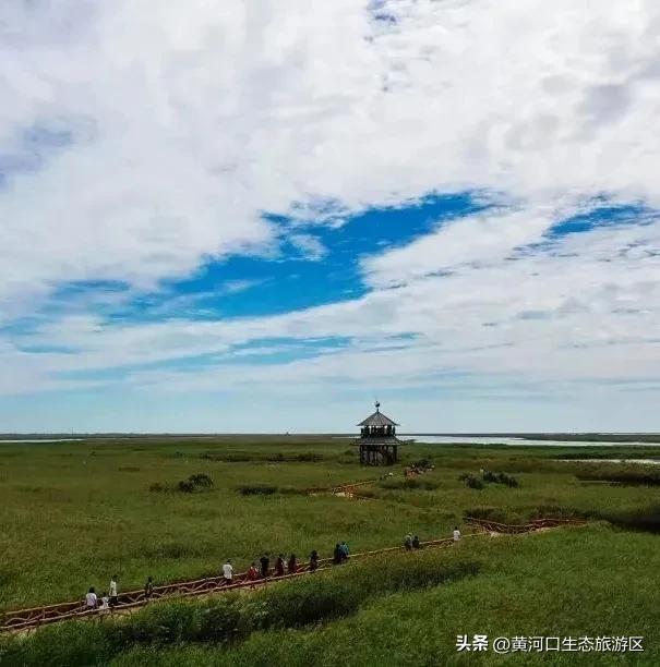 【黄河口生态旅游区】8月8日奥运冠军即将空降黄河口！超燃日程抢先看！