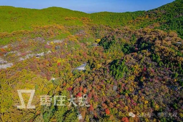 红叶季，在枣庄抱犊崮崖壁上拍到我的人生照片！