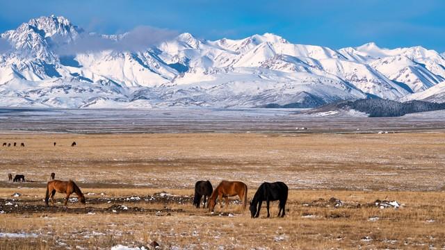 属马的你，今年最大的难题	，不是事，而是“人”！