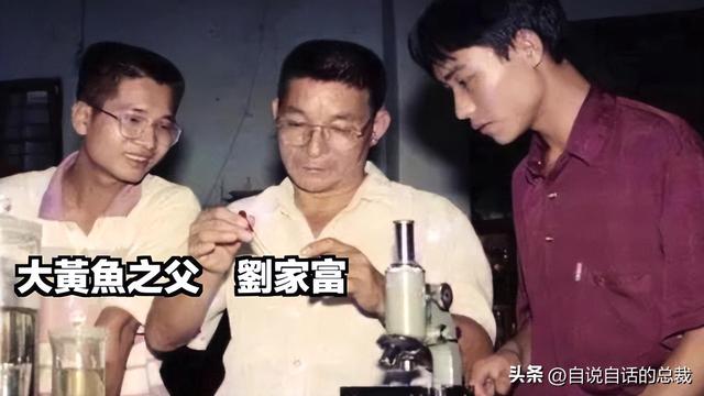 花胶能熬没了吗 2026年花胶能熬没了吗图片
