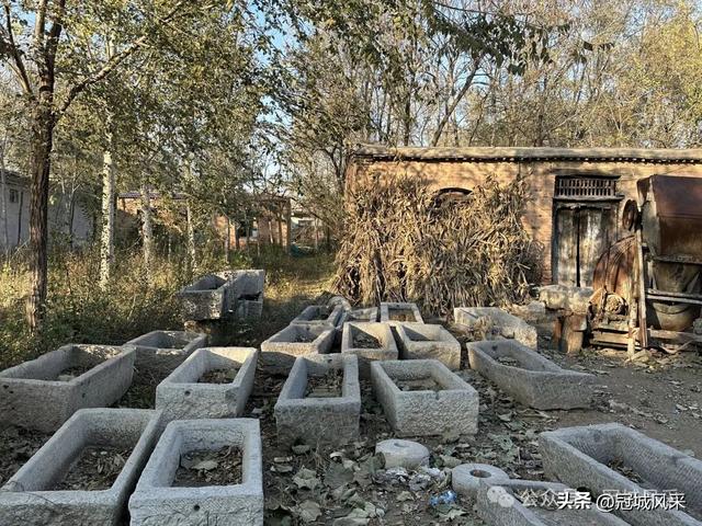 冠县乡韵·贾镇荆楼村