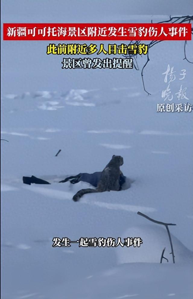 被雪豹咬伤女子已从急诊转至其他科室	，目击者称“当事人没有去摸豹子”，专家：雪豹当时或在“应激	”状态