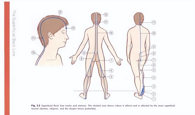低成本抗衰，强烈推荐这个“作弊”小技巧！在家就能做