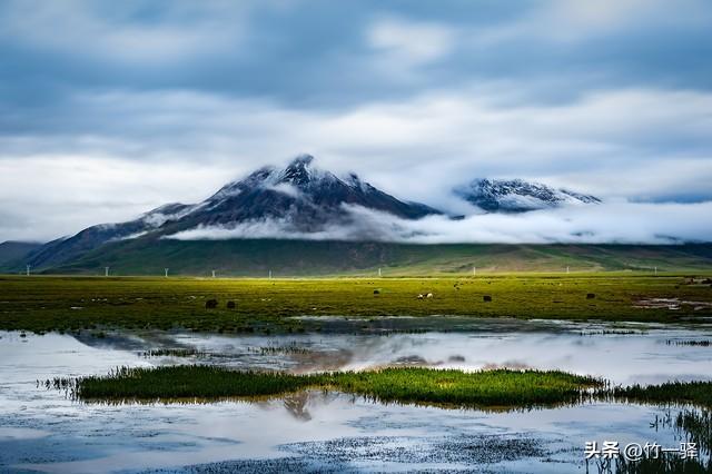 西藏嘎朗湿地：藏东南的隐秘莲花