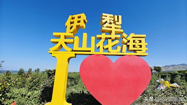 刚从新疆回来，这几个收费景点就是个坑，最好不去，去了后悔。
