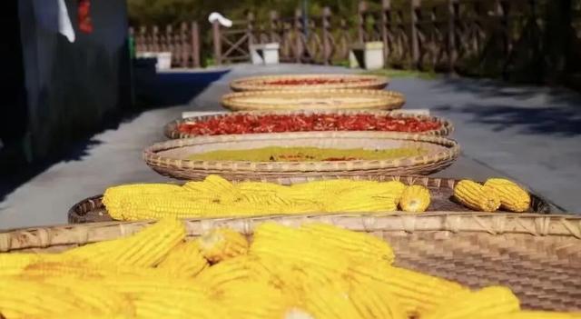 皖美秋日｜【石台深秋】一半是晒秋烟火，一半是山水诗意