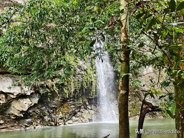 马来西亚(30)砂拉越州④姆鲁山徒步线路