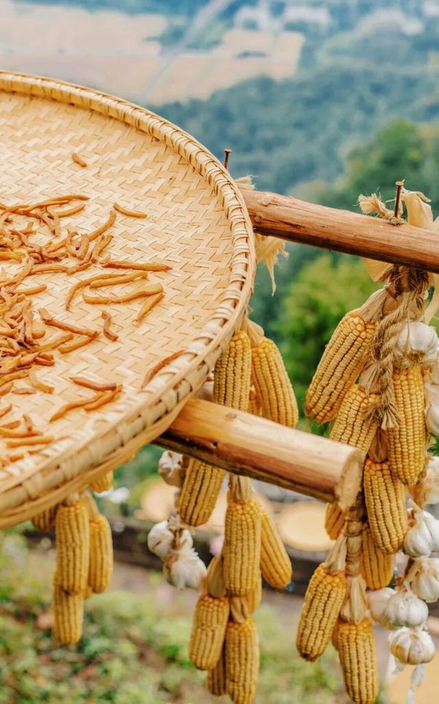 浙江人游齐云山免票！来齐云山解锁仙系秋游 | 皖美冬日 | 第十五届安徽国际文化旅游节