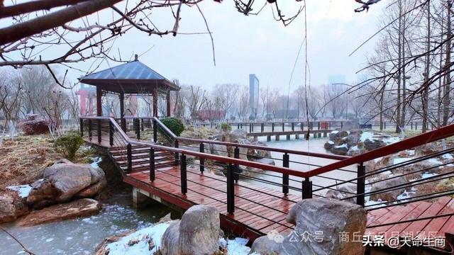 冬日的浪漫，藏在商丘日月湖的晨霜里