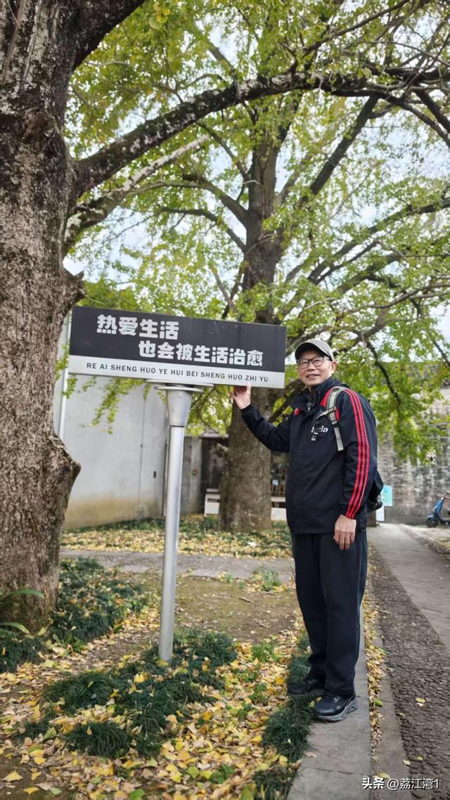 金叶映古村，醉美长岗岭