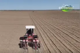 定边：科技赋能玉米播种 节水节肥提升产量图片