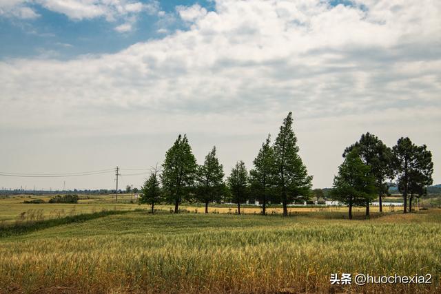 隔壁的城市走一走——镇江丁岗五七林场