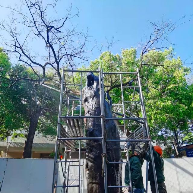 苏州十大“寿星”出炉！