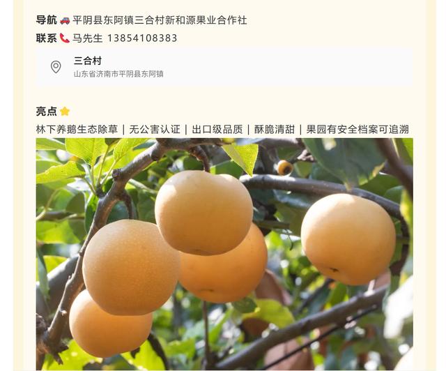 秋日采摘、打卡徽派秘境、住泉畔民宿，济南这几条小众线路，周末出发正好！