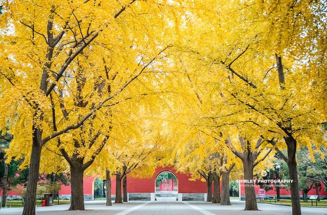 北京第一座城市公园，门票仅3元，却被很多游客当作进故宫的捷径