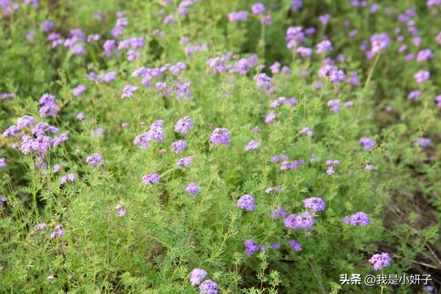 女性在什么时候最容易“把持不住”，6个女人说出了实话，很实在