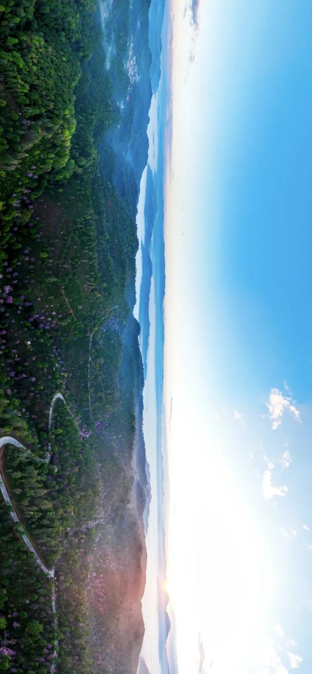 普洱这片茶林，自带“Wi-Fi”