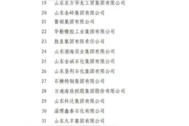 中国民企500强出炉！山东51家企业入选图片
