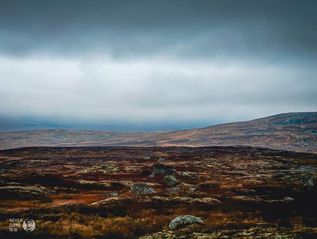 挪威秋韵，峡湾森境
