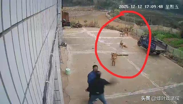 警方通报后，被打邻居儿子凌晨发布一段文字	，既有感谢，又有期盼