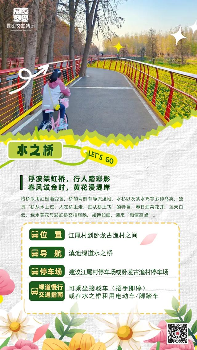 “人在画中游”！昆明这个湿地公园成“全民健身”热门打卡地