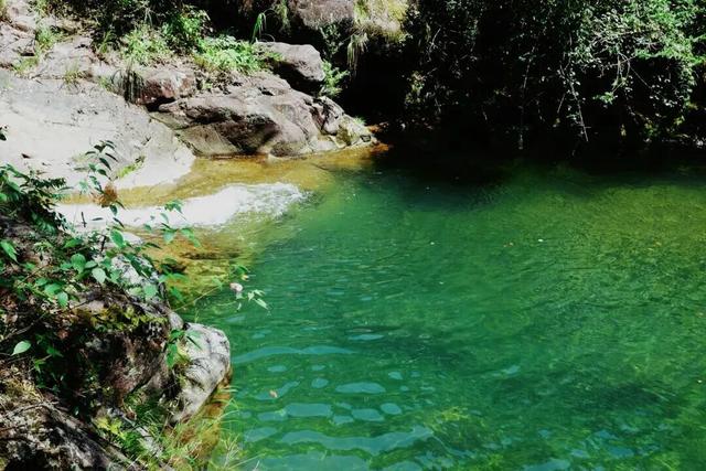 高铁1.5h！这座人少好玩无敌好吃的浙江名城，也免门票啦