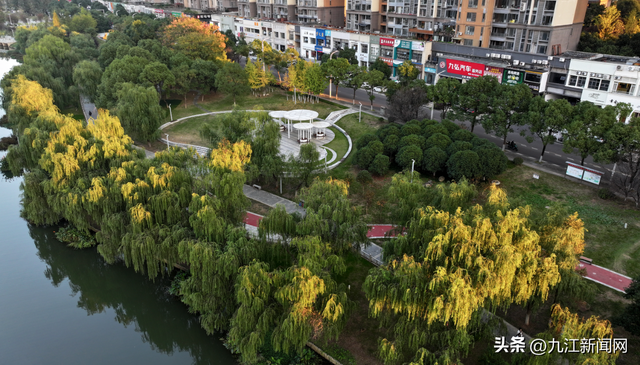 诗意浔城 色彩斑斓冬如春