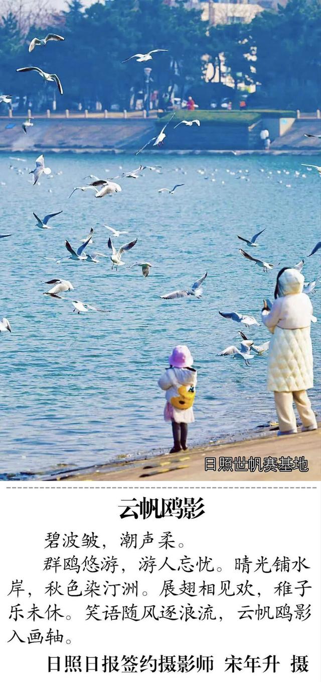 圈粉了！就在日照这些地方……
