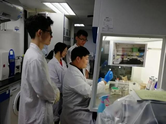 首次揭示 想“饿死”肿瘤反而导致转移？Cell刊发中山大学最新成果